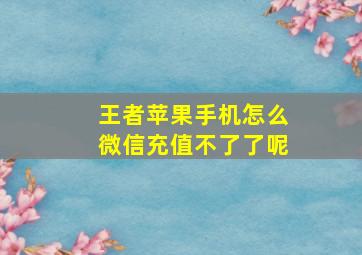 王者苹果手机怎么微信充值不了了呢