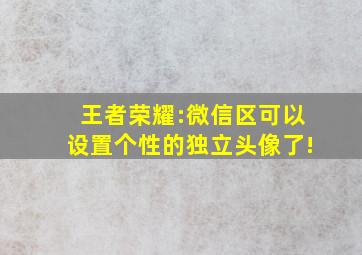 王者荣耀:微信区可以设置个性的独立头像了!