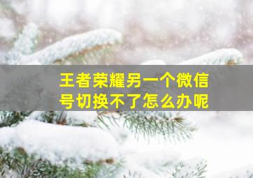 王者荣耀另一个微信号切换不了怎么办呢