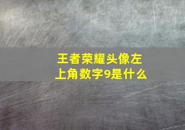 王者荣耀头像左上角数字9是什么