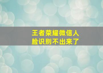 王者荣耀微信人脸识别不出来了