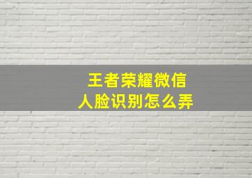 王者荣耀微信人脸识别怎么弄