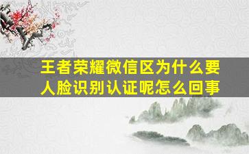 王者荣耀微信区为什么要人脸识别认证呢怎么回事