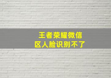 王者荣耀微信区人脸识别不了