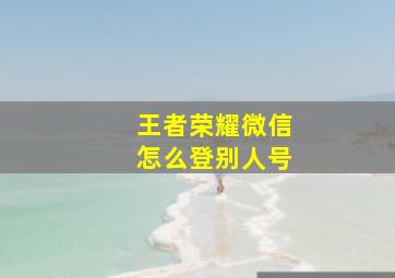 王者荣耀微信怎么登别人号