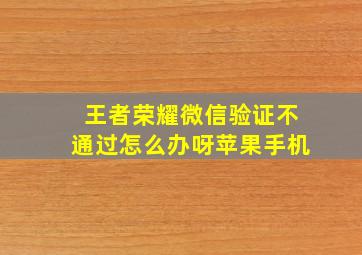 王者荣耀微信验证不通过怎么办呀苹果手机