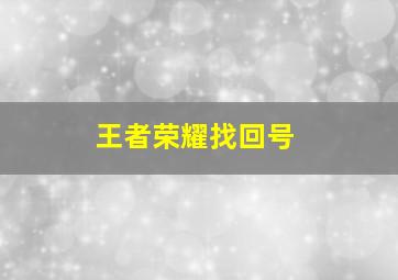 王者荣耀找回号