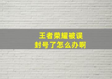 王者荣耀被误封号了怎么办啊