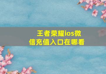 王者荣耀ios微信充值入口在哪看