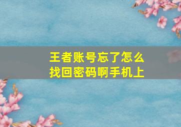 王者账号忘了怎么找回密码啊手机上