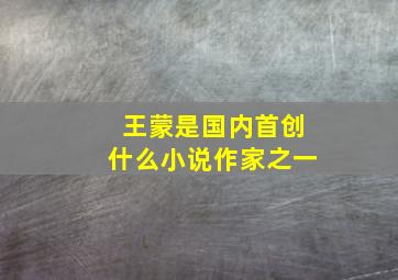 王蒙是国内首创什么小说作家之一