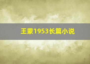 王蒙1953长篇小说