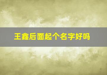 王鑫后面起个名字好吗