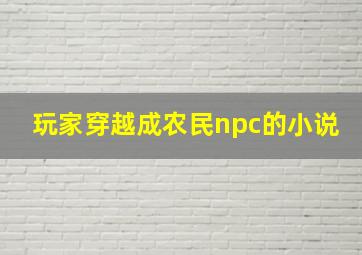 玩家穿越成农民npc的小说