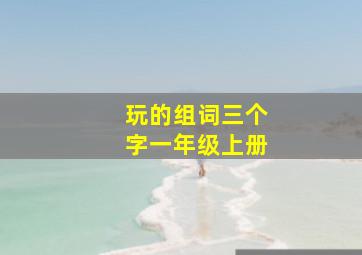 玩的组词三个字一年级上册