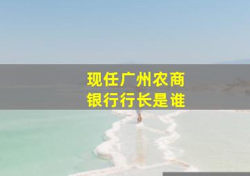 现任广州农商银行行长是谁