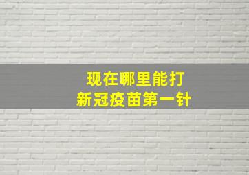 现在哪里能打新冠疫苗第一针