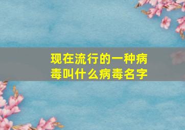 现在流行的一种病毒叫什么病毒名字