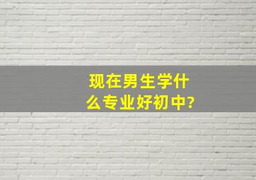 现在男生学什么专业好初中?