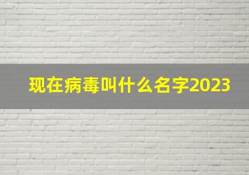 现在病毒叫什么名字2023