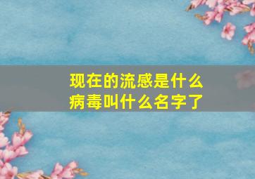 现在的流感是什么病毒叫什么名字了