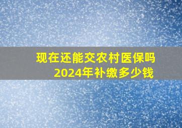 现在还能交农村医保吗2024年补缴多少钱