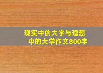 现实中的大学与理想中的大学作文800字