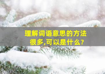 理解词语意思的方法很多,可以是什么?