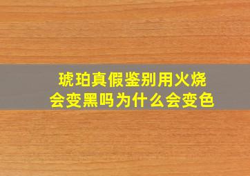 琥珀真假鉴别用火烧会变黑吗为什么会变色