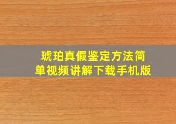 琥珀真假鉴定方法简单视频讲解下载手机版