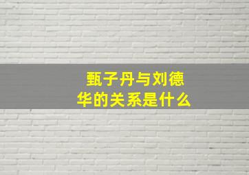 甄子丹与刘德华的关系是什么