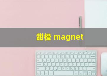 甜橙 magnet