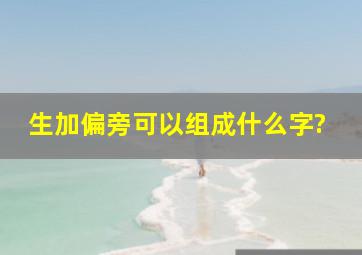 生加偏旁可以组成什么字?