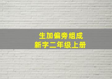 生加偏旁组成新字二年级上册