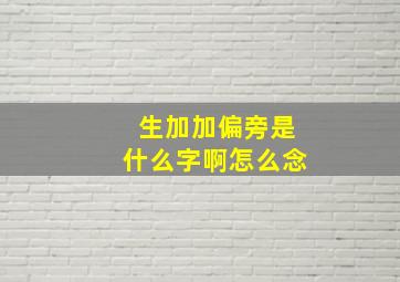 生加加偏旁是什么字啊怎么念