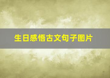 生日感悟古文句子图片