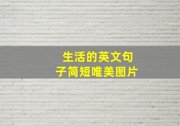 生活的英文句子简短唯美图片