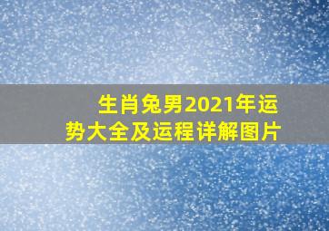 生肖兔男2021年运势大全及运程详解图片