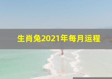 生肖兔2021年每月运程