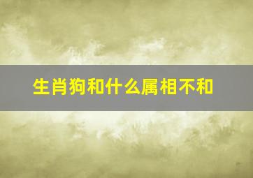 生肖狗和什么属相不和