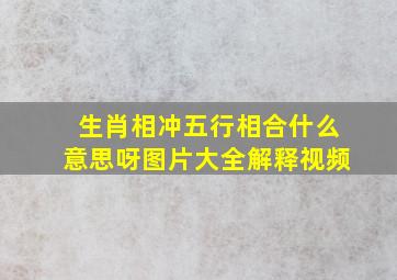 生肖相冲五行相合什么意思呀图片大全解释视频