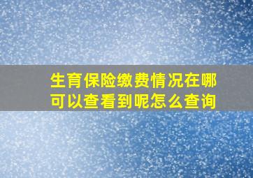 生育保险缴费情况在哪可以查看到呢怎么查询