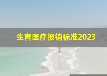 生育医疗报销标准2023