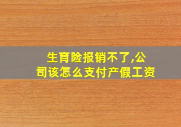 生育险报销不了,公司该怎么支付产假工资