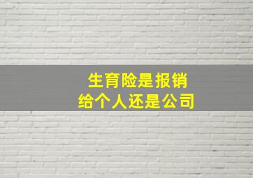 生育险是报销给个人还是公司