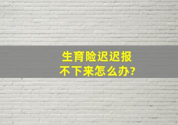 生育险迟迟报不下来怎么办?