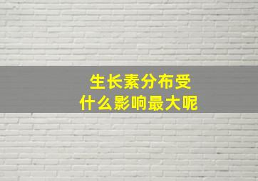 生长素分布受什么影响最大呢