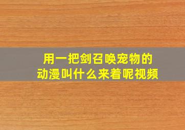 用一把剑召唤宠物的动漫叫什么来着呢视频