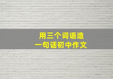 用三个词语造一句话初中作文