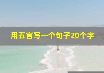 用五官写一个句子20个字